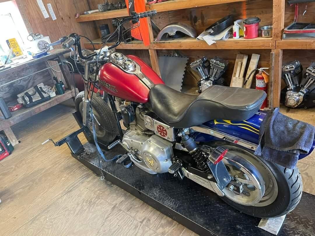 Bikes lined up inside the shop